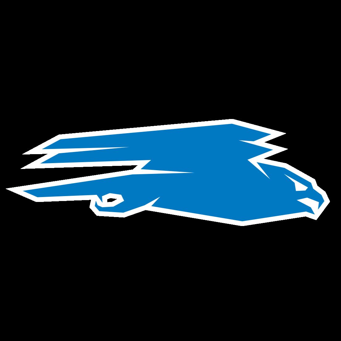 Image of the mascot of Daytona State College